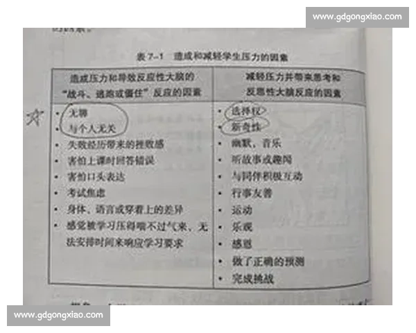 提升大脑反应速度的科学方法与日常训练策略